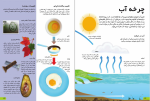 کتاب همه چیز درباره علوم امیلی گروسمن دانلودpdf-1