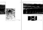 کتاب بناهای تاریخی طبس یعقوب دانشدوست دانلود PDF-1