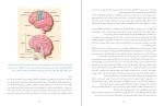 کتاب حقایق مغز علی شهبازی دانلود PDF-1