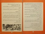 کتاب آرزوهای خرس د رومن دانلود PDF-1