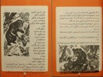 کتاب آرزوهای خرس د رومن دانلود PDF-1