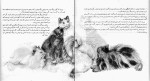 کتاب قصه دوستی قدمعلی سرامی دانلود PDF-1