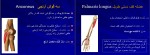 جزوه حرکت شناسی استاد غفاری دانلود PDF-1