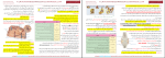 جزوه خلاصه درس و جمع بندی نکات مهم زیست شناسی یازدهم امیر رضا گراوند دانلود PDF-1