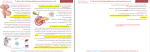 جزوه خلاصه درس و جمع بندی نکات مهم زیست شناسی یازدهم امیر رضا گراوند دانلود PDF-1