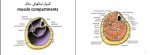 جزوه آسیب شناسی ورزشی استاد غفاری دانلود PDF-1