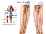 جزوه آناتومی استاد غفاری دانلود PDF-1