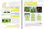 جزوه زیست شناسی دوازدهم ماز دانلود PDF-1
