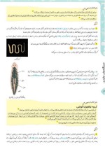 جزوه جمع بندی زیست جانوری دانلود PDF-1