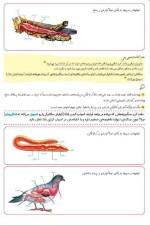 جزوه جمع بندی زیست جانوری دانلود PDF-1
