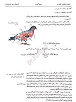 جزوه زیست کنکور دانلود PDF-1