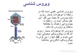 جزوه درس ویروس شناسی دانلود PDF-1