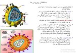 جزوه درس ویروس شناسی دانلود PDF-1