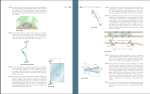 جزوه استاتیک و دینامیک بیر جانسون دانلود PDF-1
