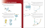جزوه استاتیک و دینامیک بیر جانسون دانلود PDF-1