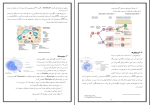 جزوه ایمونولوژی دانلود PDF-1