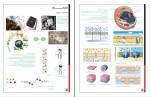 جزوه پیش آزمون مهر دهم و دوازدهم دانلود PDF-1
