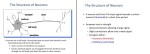 جزوه مقدمه ای بر شبکه های عصبی دانلود PDF-1