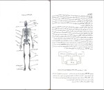جزوه تربیت بدنی دانلود PDF-1