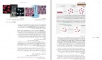 کتاب شیمی عمومی سیلبرگ دانلود PDF-1
