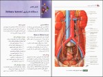 کتاب آناتومی عمومی ایمانه شمایلی یگانه دانلود PDF-1