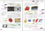 کتاب زیر ذره بین زیست شناسی 1 مجید علی نوری دانلود PDF-1