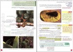 کتاب زیست شناسی 2 پایه یازدهم مجید علی نوری دانلود PDF-1