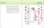 کتاب Biopsychology جان پینل دانلود PDF-1