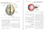 کتاب نوروآناتومی بالینی اسنل راین اسپلیت گربر دانلود PDF-1