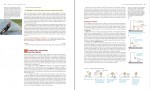 کتاب University Physics یانگ دانلود PDF-1
