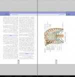 کتاب نوروآناتومی مائده محمودی دانلود PDF-1