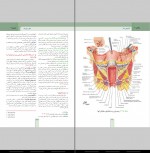 کتاب نوروآناتومی مائده محمودی دانلود PDF-1