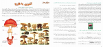 کتاب آشپزی با قارچ اکرم ذاکری دانلود PDF-1