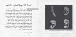 کتاب زیست شناسی در چند دقیقه عرفان خسروی دانلود PDF-1