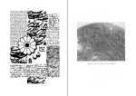 برای بزرگنمایی کلیک کنید کتاب دانشنامه ایران باستان جلد سوم هاشم رضی دانلود PDF-1