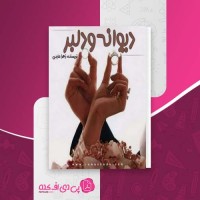 کتاب دیوانه و دلبر زهرا عابدی دانلود PDF