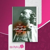 کتاب طوطی فلوبر جولین بارنز دانلود PDF