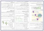 برای بزرگنمایی کلیک کنید جزوه زیست شناسی دوازدهم استاد همدانی دانلود PDF-1