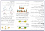 برای بزرگنمایی کلیک کنید جزوه زیست شناسی دوازدهم استاد همدانی دانلود PDF-1