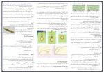 برای بزرگنمایی کلیک کنید جزوه زیست شناسی دوازدهم استاد همدانی دانلود PDF-1