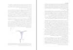 برای بزرگنمایی کلیک کنید کتاب زایمان و فراتر از آن جلد اول دکتر گوردون دانلود PDF-1